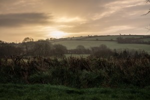 Beyound Fields        